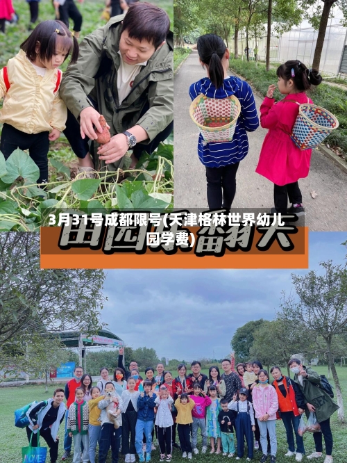 3月31号成都限号(天津格林世界幼儿园学费)-第3张图片