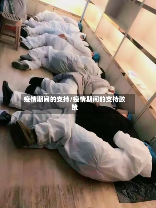 疫情期间的支持/疫情期间的支持政策-第3张图片