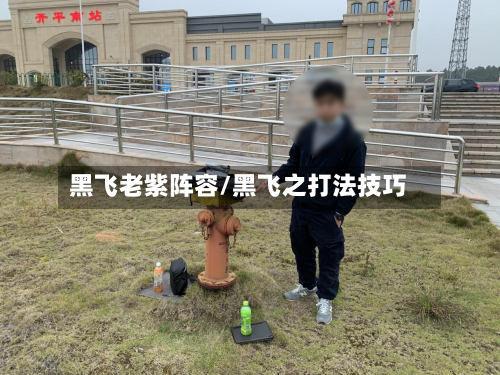 黑飞老紫阵容/黑飞之打法技巧