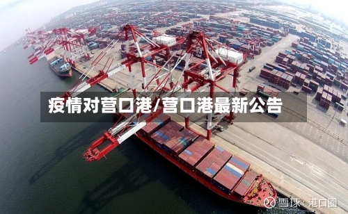 疫情对营口港/营口港最新公告-第3张图片