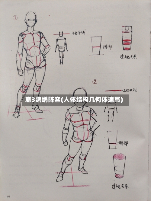 崩3鹦鹉阵容(人体结构几何体速写)