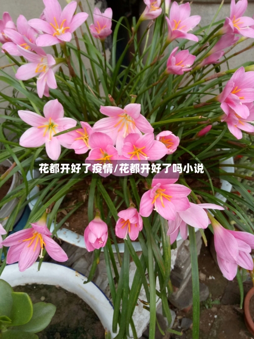 花都开好了疫情/花都开好了吗小说-第3张图片
