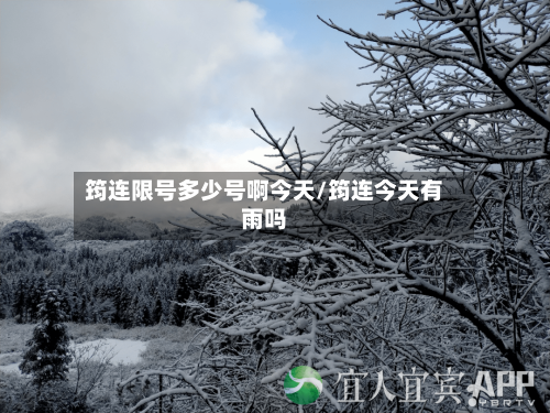 筠连限号多少号啊今天/筠连今天有雨吗