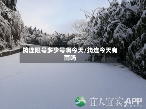 筠连限号多少号啊今天/筠连今天有雨吗-第3张图片