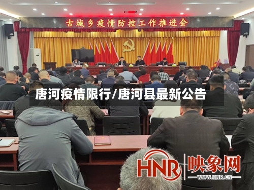 唐河疫情限行/唐河县最新公告-第2张图片
