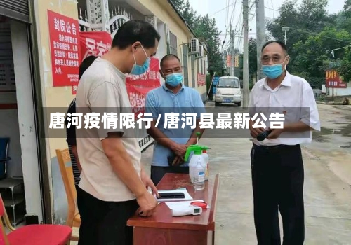 唐河疫情限行/唐河县最新公告-第3张图片