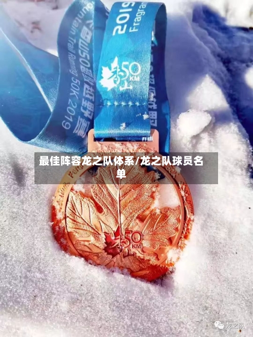 最佳阵容龙之队体系/龙之队球员名单-第3张图片