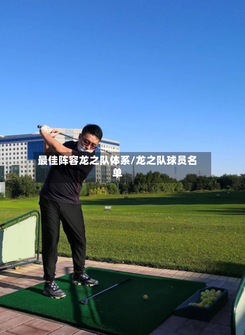 最佳阵容龙之队体系/龙之队球员名单-第2张图片