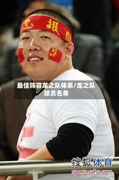 最佳阵容龙之队体系/龙之队球员名单