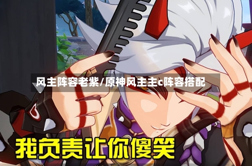 风主阵容老紫/原神风主主c阵容搭配