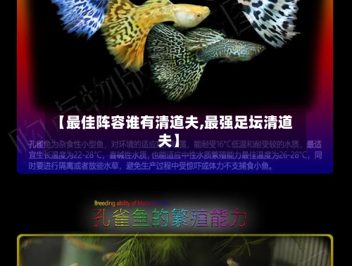 【最佳阵容谁有清道夫,最强足坛清道夫】-第2张图片