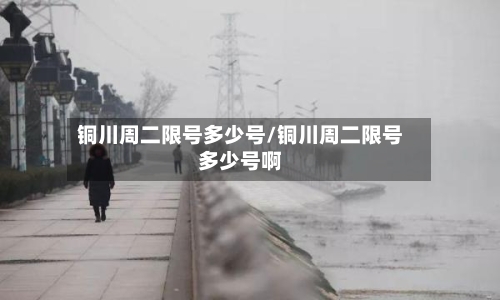 铜川周二限号多少号/铜川周二限号多少号啊-第2张图片