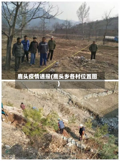 鹿头疫情通报(鹿头乡各村位置图)-第2张图片