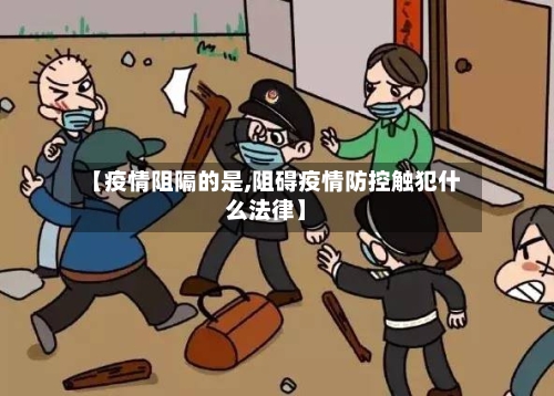 【疫情阻隔的是,阻碍疫情防控触犯什么法律】-第3张图片