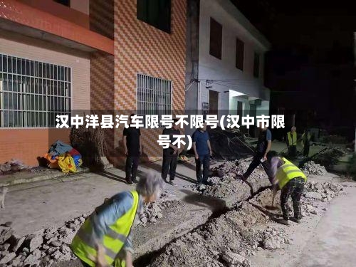 汉中洋县汽车限号不限号(汉中市限号不)-第2张图片