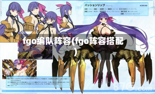 fgo编队阵容(fgo阵容搭配)-第3张图片