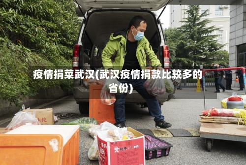 疫情捐菜武汉(武汉疫情捐款比较多的省份)