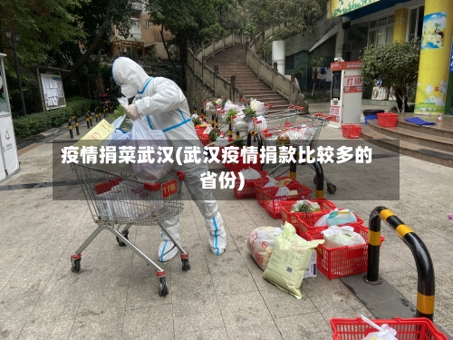 疫情捐菜武汉(武汉疫情捐款比较多的省份)-第2张图片