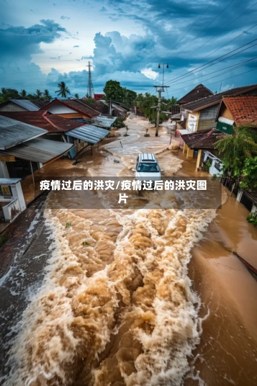 疫情过后的洪灾/疫情过后的洪灾图片-第2张图片