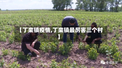 【丁栾镇疫情,丁栾镇最厉害三个村】-第2张图片