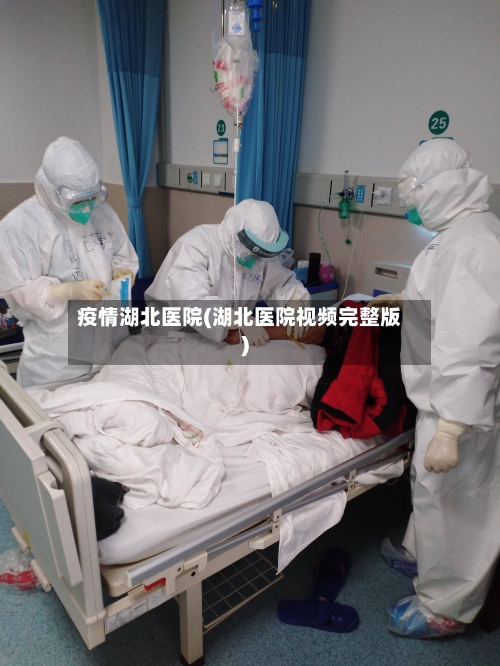 疫情湖北医院(湖北医院视频完整版)