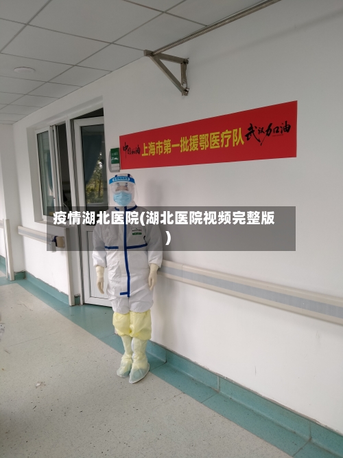 疫情湖北医院(湖北医院视频完整版)-第2张图片
