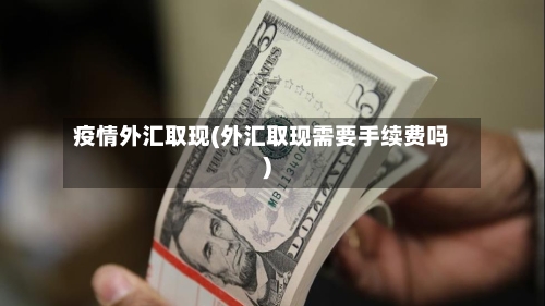 疫情外汇取现(外汇取现需要手续费吗)-第2张图片