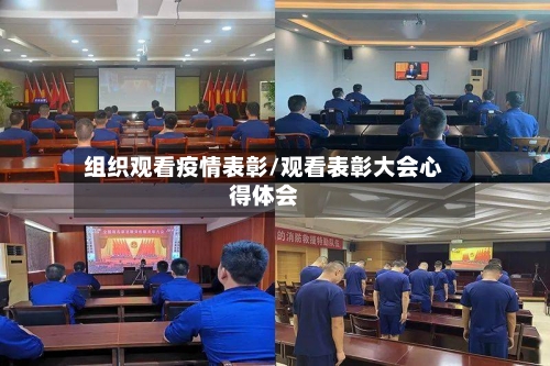 组织观看疫情表彰/观看表彰大会心得体会