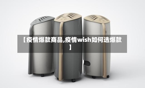 【疫情爆款商品,疫情wish如何选爆款】-第3张图片