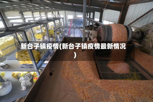 新台子镇疫情(新台子镇疫情最新情况)-第2张图片