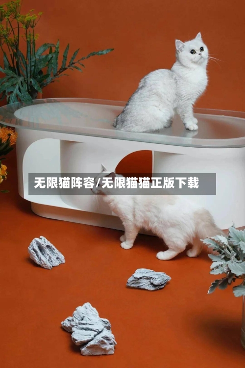 无限猫阵容/无限猫猫正版下载