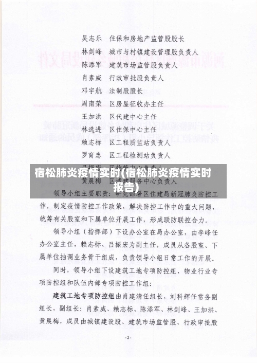 宿松肺炎疫情实时(宿松肺炎疫情实时报告)-第3张图片