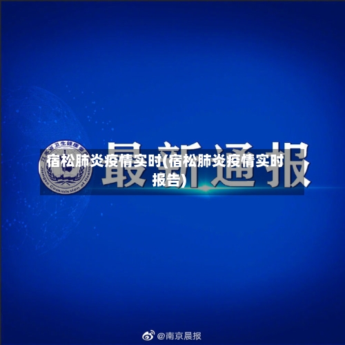 宿松肺炎疫情实时(宿松肺炎疫情实时报告)-第2张图片