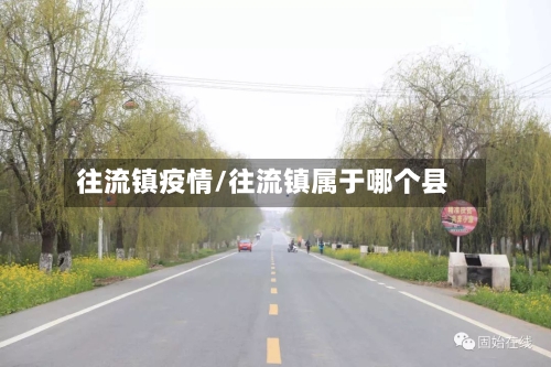 往流镇疫情/往流镇属于哪个县-第3张图片