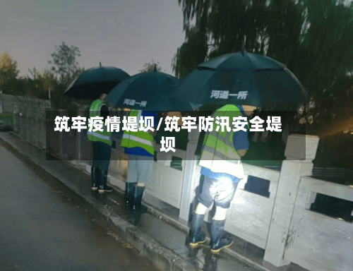 筑牢疫情堤坝/筑牢防汛安全堤坝