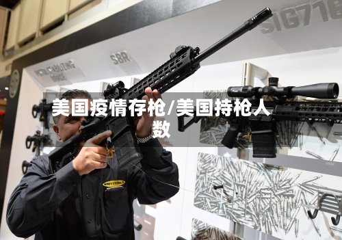 美国疫情存枪/美国持枪人数-第2张图片