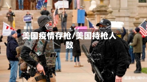 美国疫情存枪/美国持枪人数-第3张图片