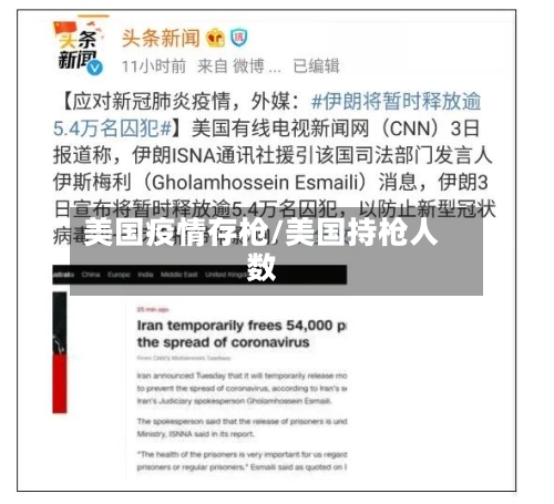 美国疫情存枪/美国持枪人数