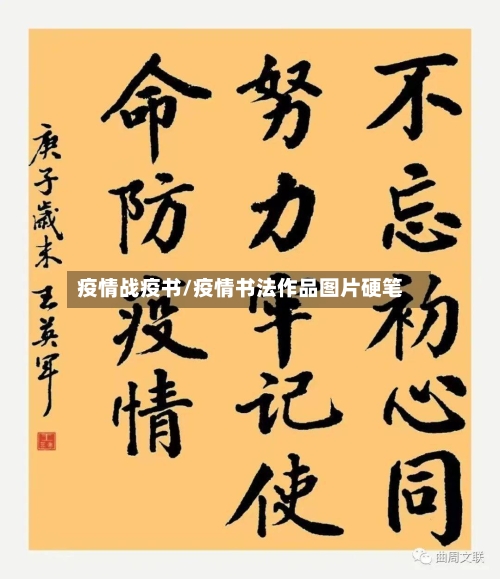 疫情战疫书/疫情书法作品图片硬笔-第2张图片