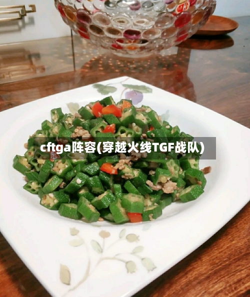 cftga阵容(穿越火线TGF战队)-第2张图片