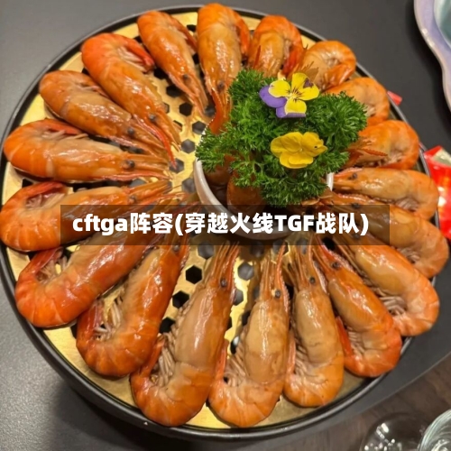 cftga阵容(穿越火线TGF战队)