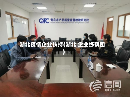 湖北疫情企业扶持(湖北 企业纾帮困)