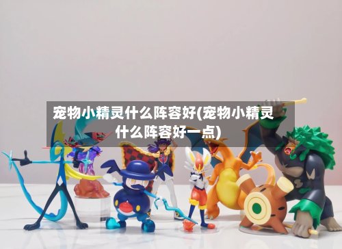 宠物小精灵什么阵容好(宠物小精灵什么阵容好一点)