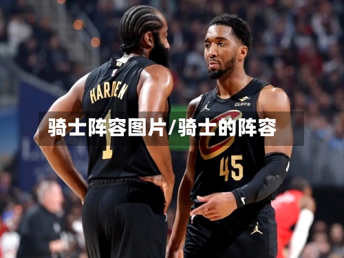 骑士阵容图片/骑士的阵容