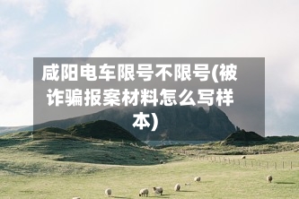 咸阳电车限号不限号(被诈骗报案材料怎么写样本)-第2张图片