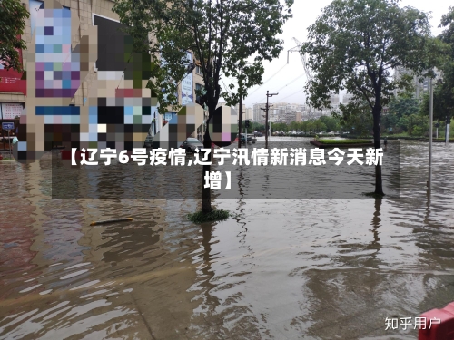 【辽宁6号疫情,辽宁汛情新消息今天新增】-第2张图片