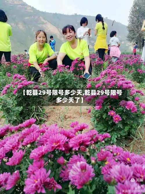 【乾县29号限号多少天,乾县29号限号多少天了】-第2张图片