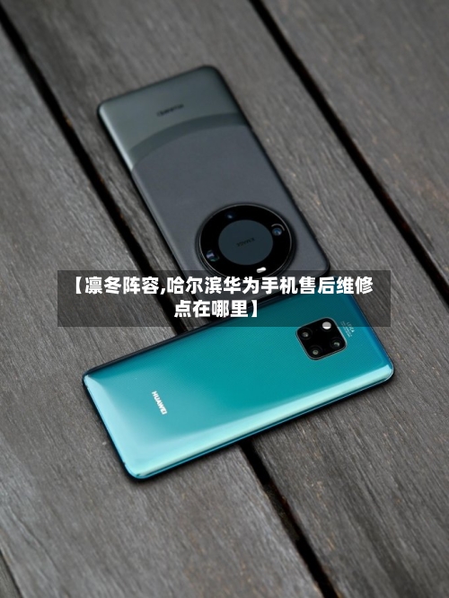 【凛冬阵容,哈尔滨华为手机售后维修点在哪里】-第3张图片