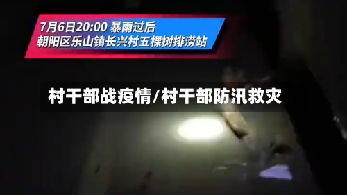 村干部战疫情/村干部防汛救灾-第2张图片