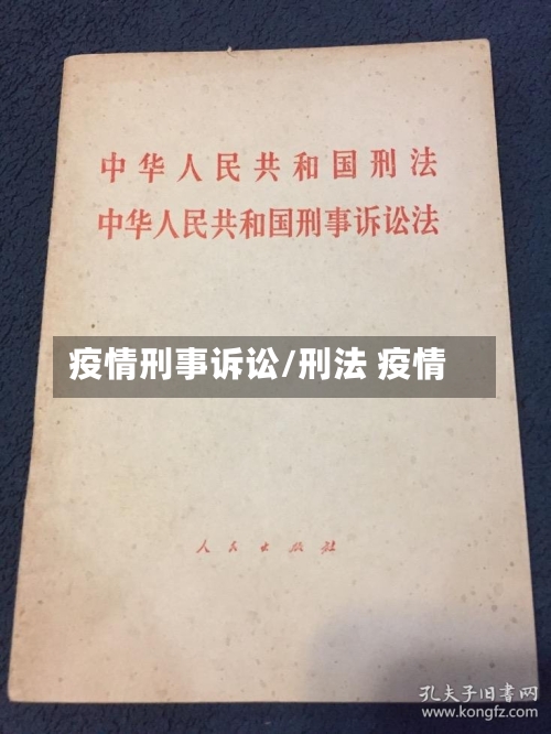 疫情刑事诉讼/刑法 疫情